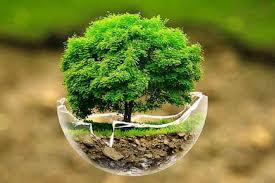 پیشنهاد ۹ طرح منابع طبیعی خوزستان برای سفر رییس جمهور پیشنهاد ۹ طرح منابع طبیعی خوزستان برای سفر رییس جمهور