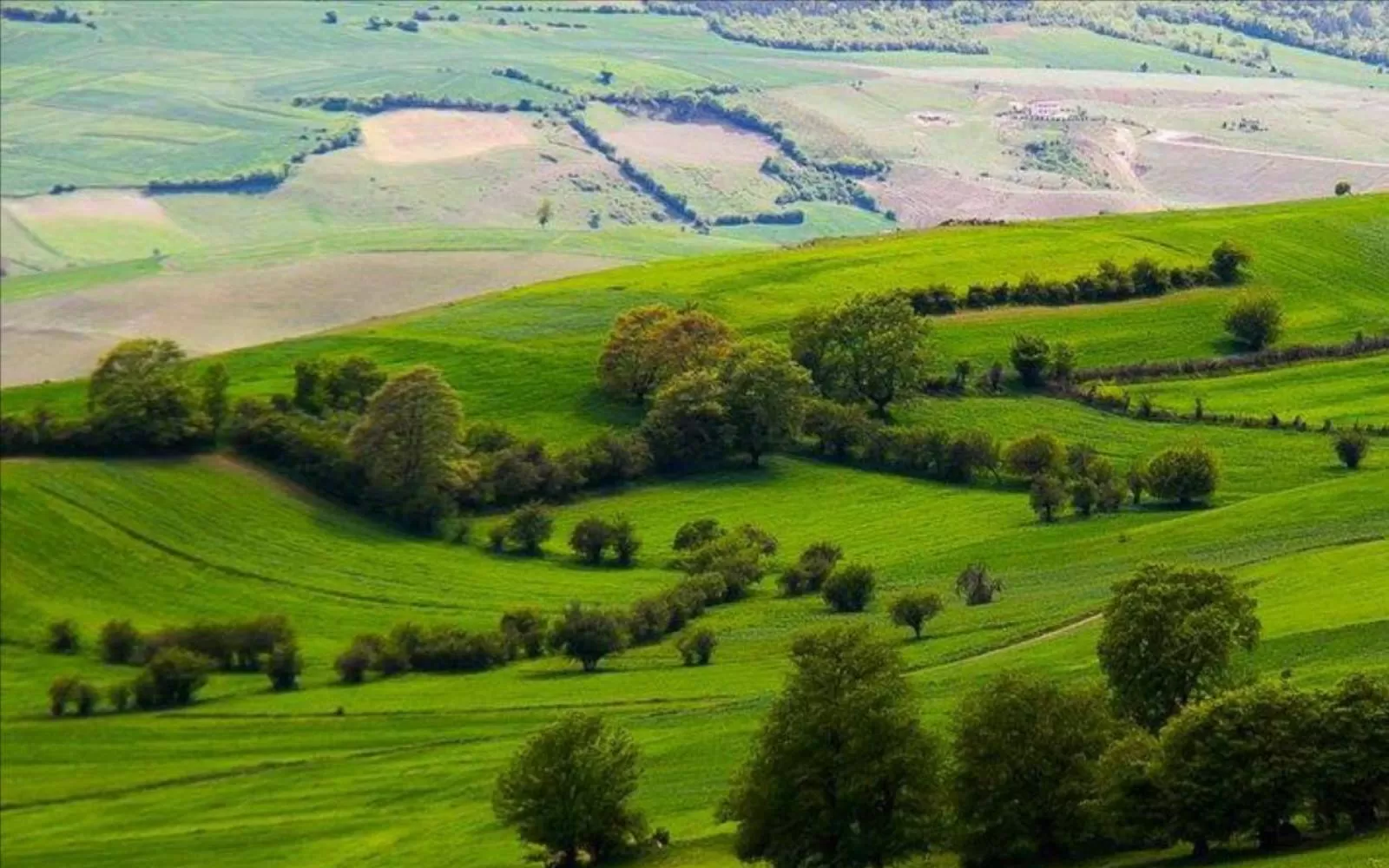 تاکید بر رفع تداخلات اراضی بر اساس پلاک در خوزستان تاکید بر رفع تداخلات اراضی بر اساس پلاک در خوزستان