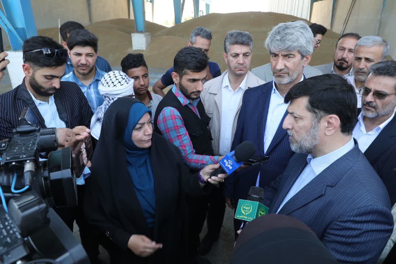 پرداخت مبلغ علی‌الحساب خرید گندم به کشاورزان تا مشخص شدن قیمت خرید تضمینی سال جاری