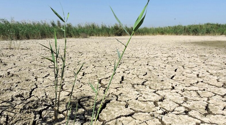 هورالعظیم در حال تبدیل شدن به کانون ریزگرد