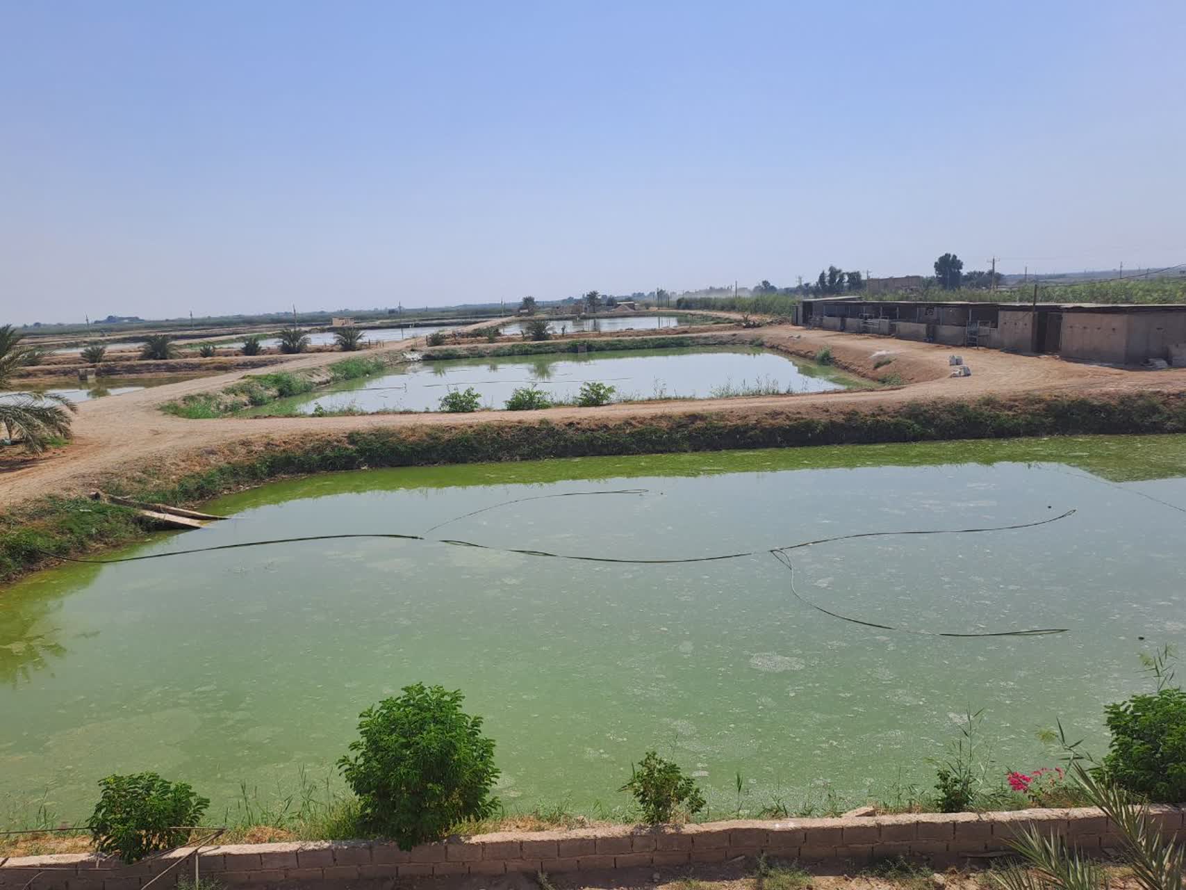 استفاده بهینه از اراضی و منابع طبیعی با واگذاری اراضی ملی و دولتی