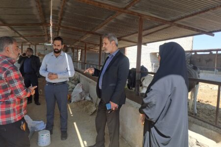 استفاده بهینه از اراضی و منابع طبیعی با واگذاری اراضی ملی و دولتی