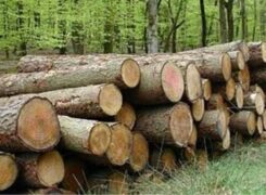 کشف کالای قاچاق در شوش