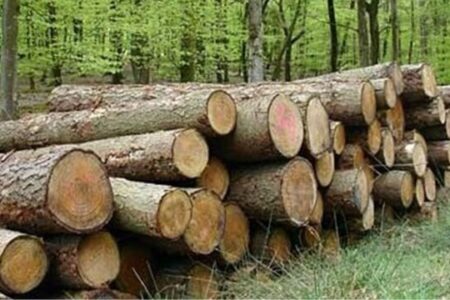 کشف کالای قاچاق در شوش