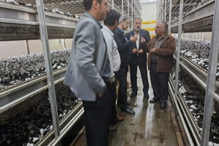 ممنوعیت صدور هرگونه مجوز تغییرکاربری در اراضی مرغوب و حاصلخیز کشاورزی