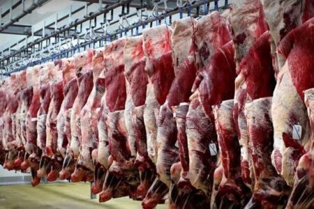 بررسی وضعیت بهداشتی و ایمنی کشتارگاه دام شوشتر